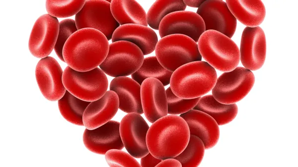 Heart of Red Blood Cells Isolated