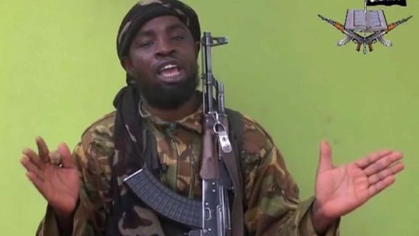 ابو بكر شكوي