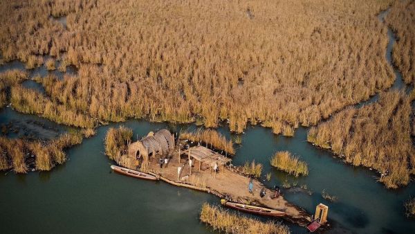 The Mesopotamian Marshes 