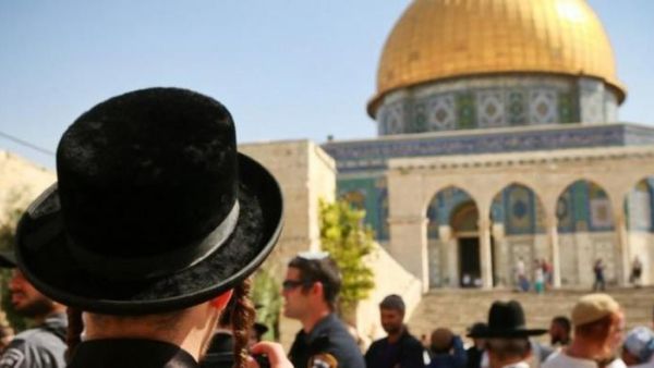 المتطرفون يدنسون الاقصى 