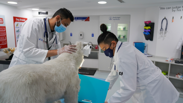 KidZania veterinary clinic Boehringer Ingelheim Nestle Purina Kidzania, Purina, & Boehringer Ingelheim Promote Veterinary Career Paths & Pet Health In Dubai