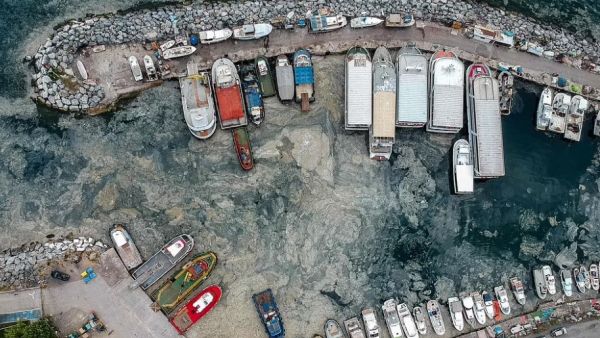 Ports and coastal areas near the Turkish city of Istanbul are being clogged up with a thick gunk known as 'sea snot' that is being created by tiny phytoplankton living in the water
