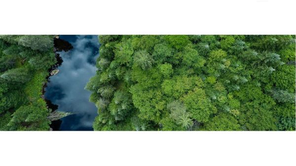 Nestlé has completed a Forest Footprint pilot in the Aceh province in North Sumatra, Indonesia. Nestlé Moves Beyond Forest Protection To A Forest Positive Strategy And Boosts Its Use Of Satellite Services