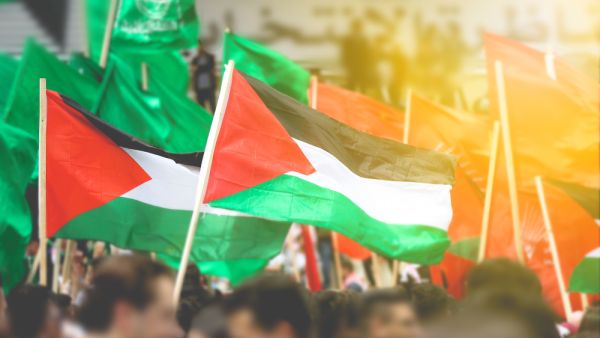 concept of Palestinian flags held by Palestinian people  