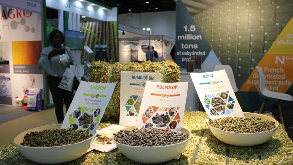 food expo