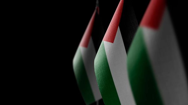 Small national flags of the Palestine 