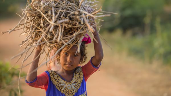 Indian girl carrying wood on head at the road