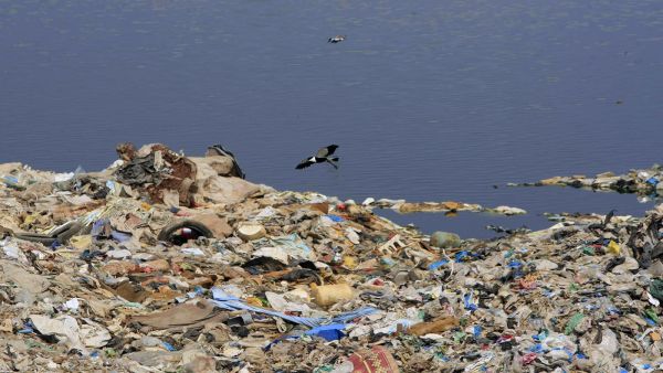 نفايات في تركيا