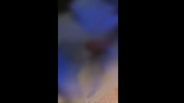 أثير تشوه سمعه السعودية