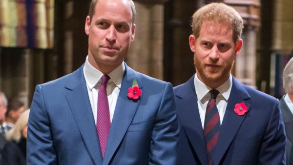 الأمير هاري والأمير ويليام