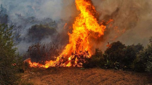 one killed in turkey forest fire