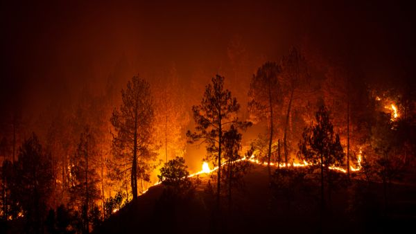 Forest fires in Turkey kill 3