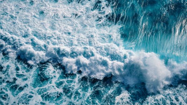 Waves of the sea 