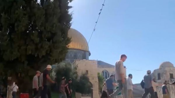 المستوطنون يدنسون الاقصى