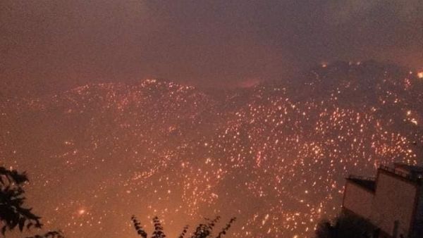 من حرائق الغابات في الجزائر