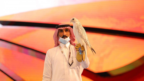الصقر الكندي 