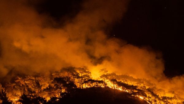 Massive forest fires in southern Turkey kill 8