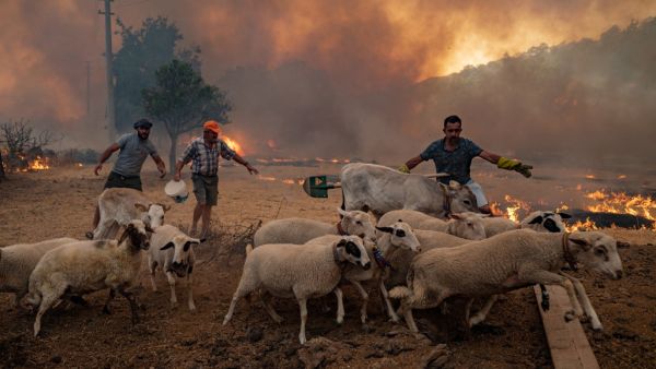 Fire eats more residential areas of southern Turkey