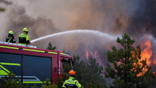 forest fires continue to rage across the wold