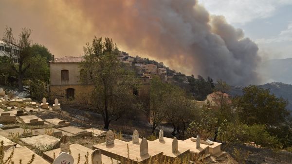 Algeria's forest fires kills dozens