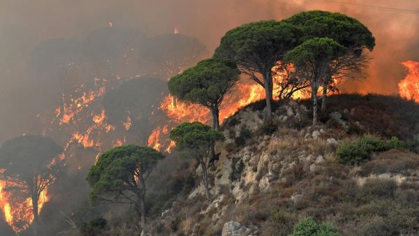Forest fires breaks in Sicily