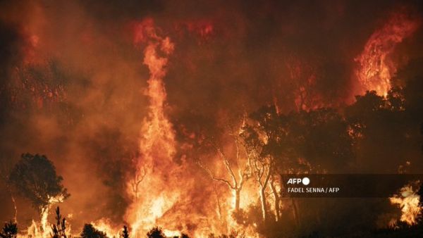 Fires rage in northern Morocco 