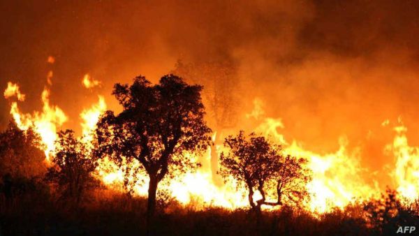 Wildfires 