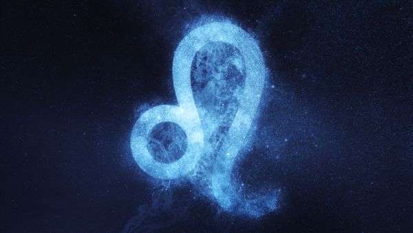 أفضل المهن المناسبة لمواليد برج الأسد