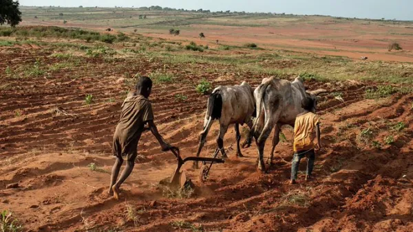 Madagascar is said to be facing the world's first famine caused by climate change