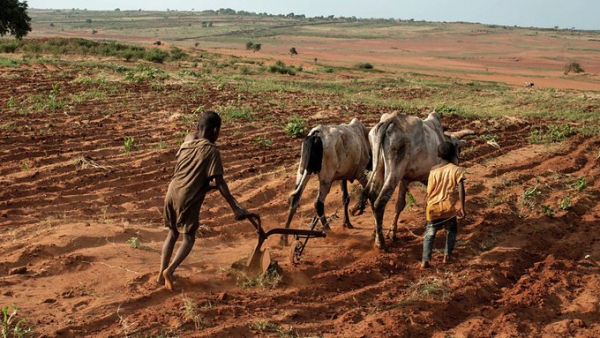 Madagascar is said to be facing the world's first famine caused by climate change