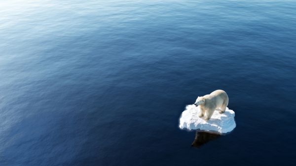 Climate Change
