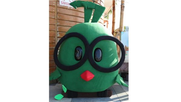 Dulsco Gears Up for Expo 2020 Dubai as the Official Waste Management Partner