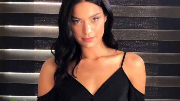 شفق بكديمير