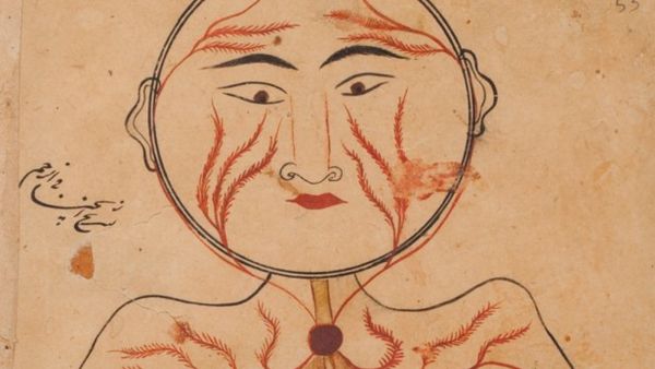 مخطوطة إسلامية نادرة تحتوي على أول تشريح لجسم الإنسان