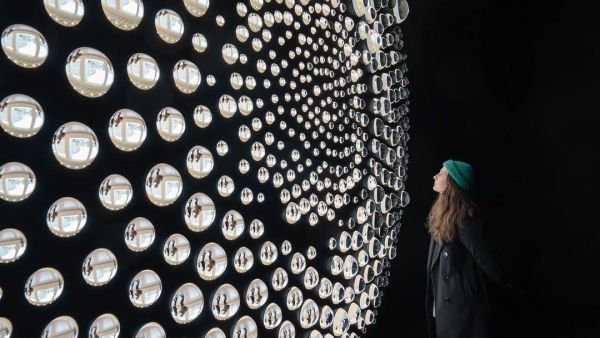 Algae window’, 2020, installed @KunsthausZuerich, 2020 (photo: Franca Candrian)
