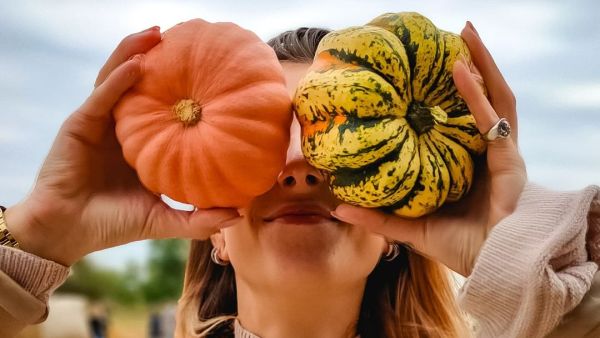 Pumpkin Season 