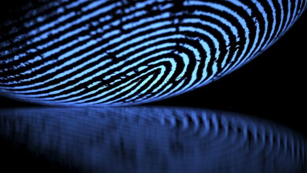 علاقات البوابة: ماذا تقول بصمتك عن شخصيتك؟