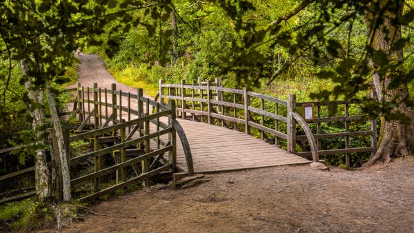 Winnie-the-Pooh bridge