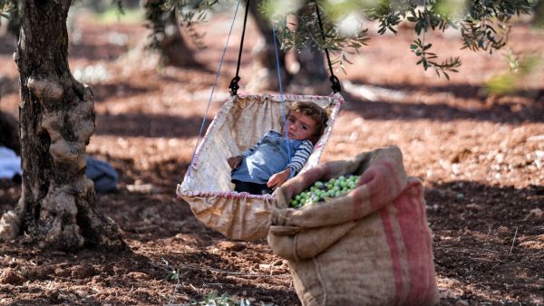 COVID-19 pandemic has undermined the Middle East's food security progress