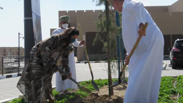 جمعية البيئة العُمانية وشركائها تزرع أشجار العلعلان تخليداً لذكرى عضوة مجلس إدارتها الراحلة دارين مهدي