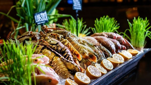 Sea Food Night Hyatt Regency Oryx Doha To Celebrate Thanksgiving in Style With an Array of Offers