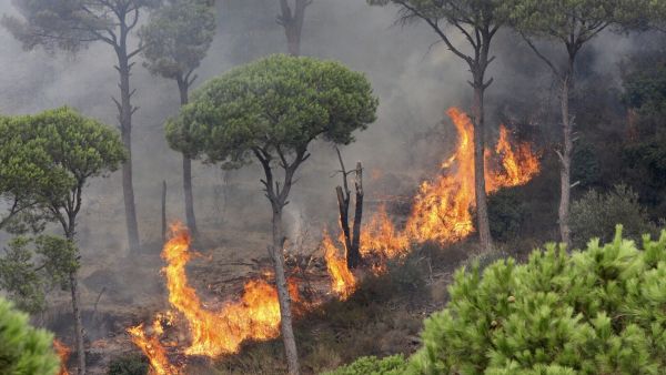 حرائق في لبنان