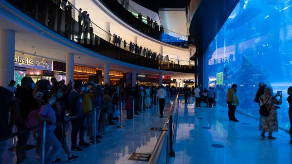 noon Dubai Aquarium Noon.com Takes Over Dubai Aquarium With News of Yellow Friday Sale