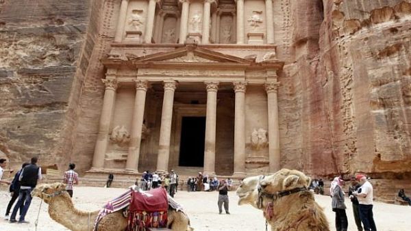 Rose Red Petra 