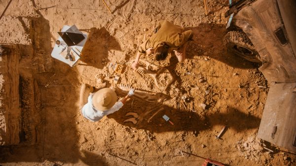 Archaeologists have unearthed Bronze Age structures in Panaztepe