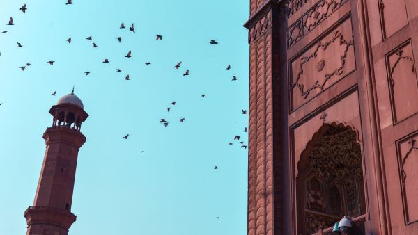 Pakistan is a country of rich heritage and great diversity. It holds several ethnic and religious groups as part of its demographic.  