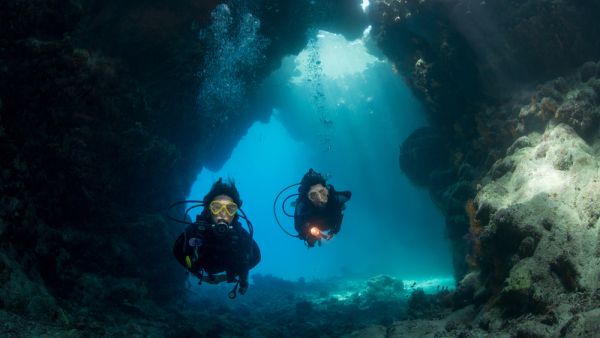 Saudi-led science team uncovers Red Sea secrets