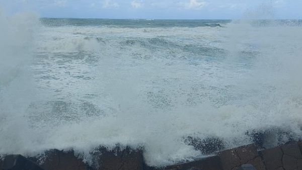 تسونامي مصري 