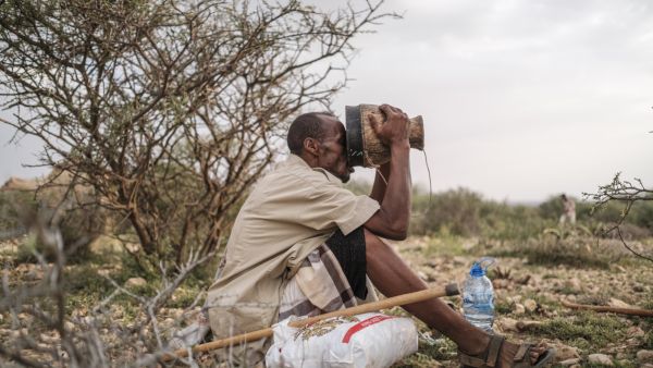 UNICEF: At Least 4.6M Somalis Are at Risk for Severe Food Insecurity