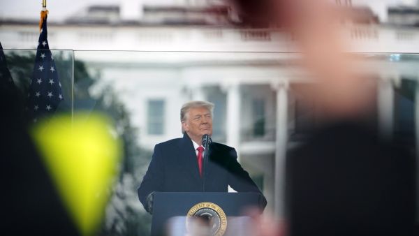Trump flew seven times on Jeffrey Epstein's private Lolita Express jet